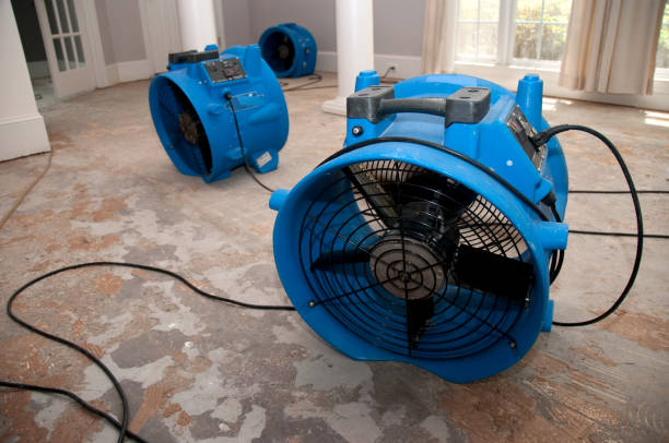 Best Water damage cleanup near me  in Val Verde Park, TX